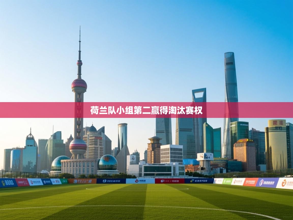 荷兰队小组第二赢得淘汰赛权 第2张